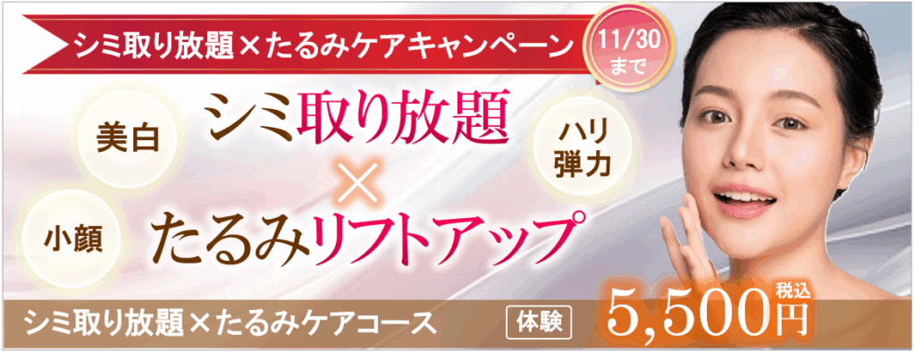 埼玉・千葉のシミ取り放題×たるみケアコース